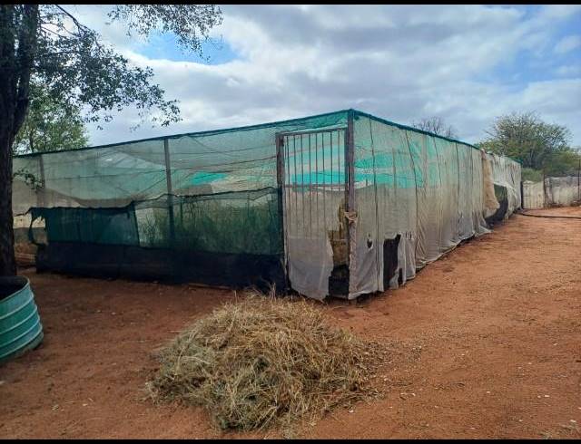 FARM FOR SALE IN MUSINA